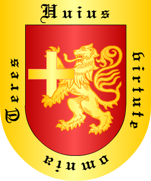 ESCUDO ALEATORIO